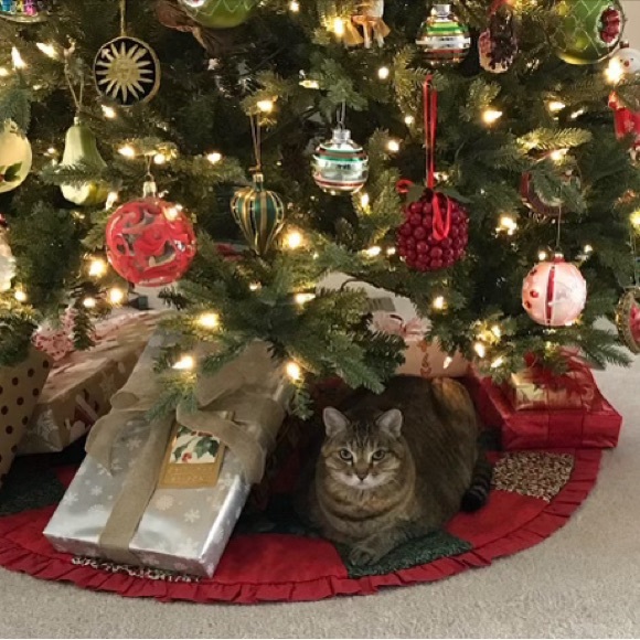 Meet your Posher, Mary ann - Picture 4 of 4